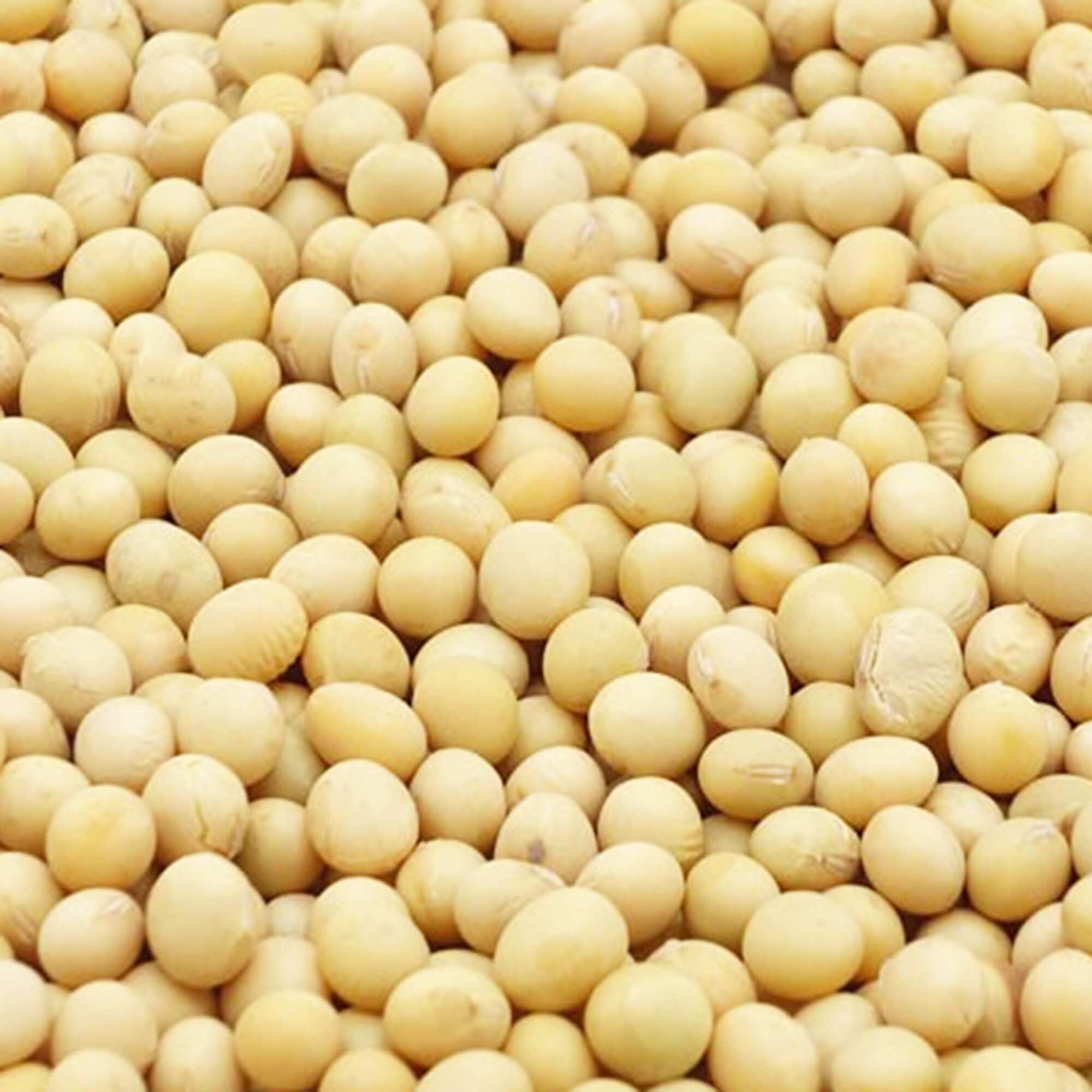Organic High Protein Soybeans - PURIS - Fieldcraft