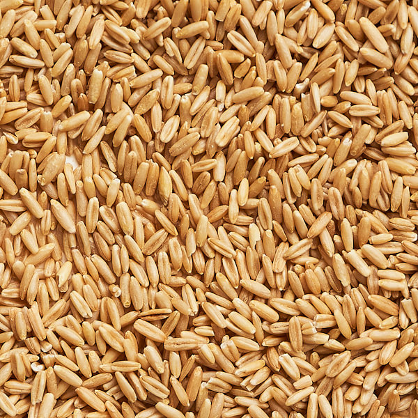 Oats - Koop - Fieldcraft