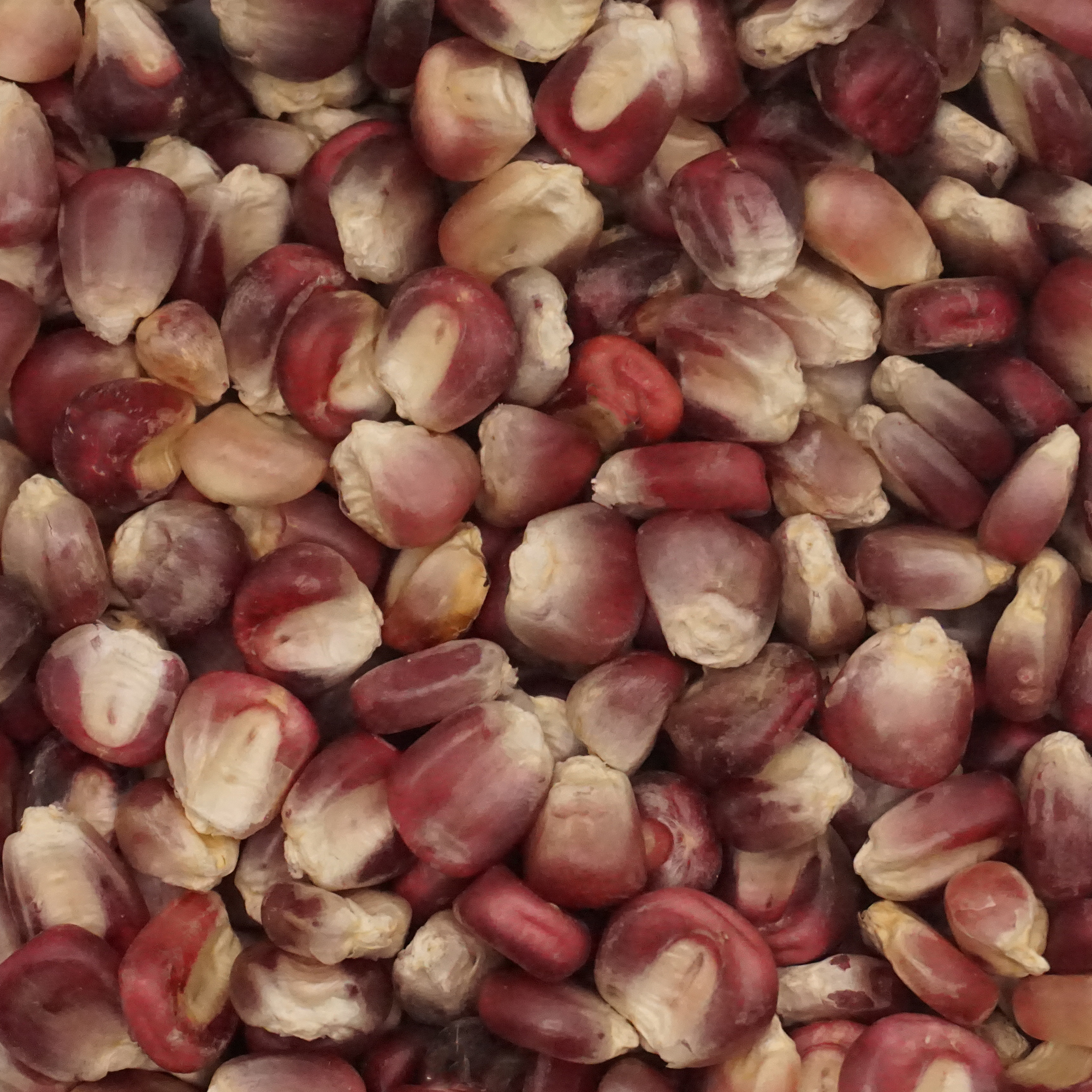 Jimmy Red Corn - Iron Row - Fieldcraft