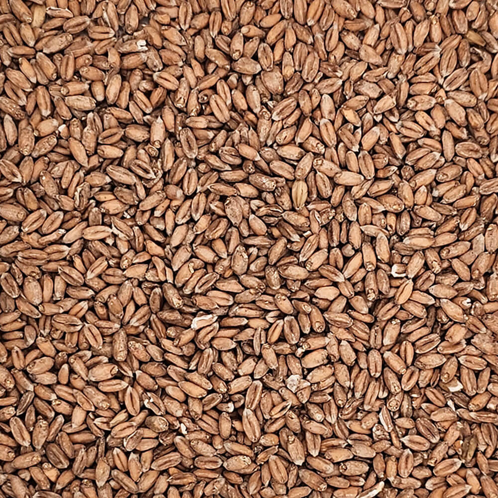 Spelt Wheat - Parsons Hay and Harvest - Fieldcraft